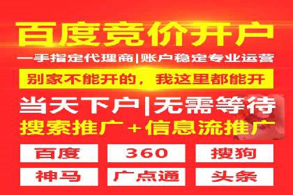 SEM主管案例分析：优化策略